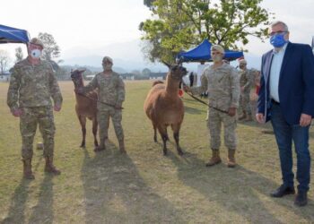 JUJUY SUMA 20 LLAMAS A LOS PATRULLAJES DE ALTA MONTAÑA