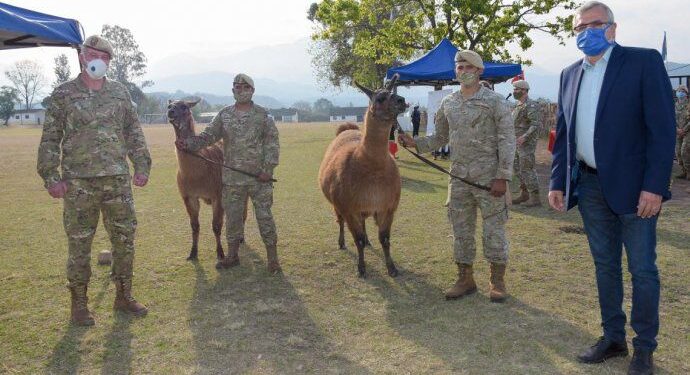 JUJUY SUMA 20 LLAMAS A LOS PATRULLAJES DE ALTA MONTAÑA