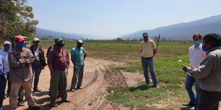 CONFORMARON LA ASOCIACIÓN DE PRODUCTORES EN FRAILE PINTADO