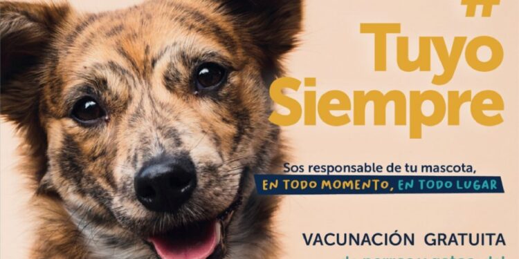 RECOMIENDAN VACUNAR A LAS MASCOTAS PARA PREVENIR LA RABIA
