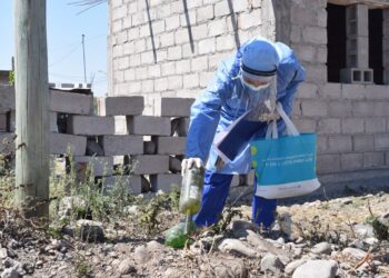 DENGUE: ES CLAVE EVITAR UN BROTE EN EL CONTEXTO DE PANDEMIA POR COVID