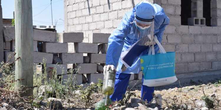 DENGUE: ES CLAVE EVITAR UN BROTE EN EL CONTEXTO DE PANDEMIA POR COVID