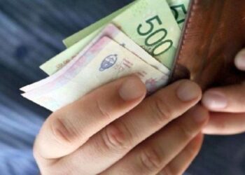 IFE 4: GOBIERNO ANALIZA LA CONTINUEDAD DEL BONO DE $10.000 QUE PAGA ANSES