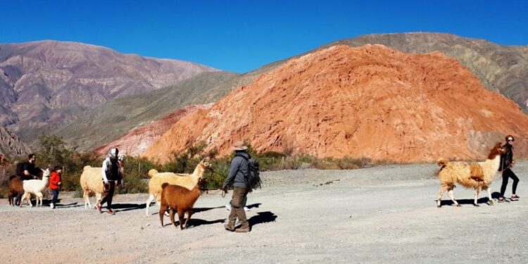 SE EXIGIRÁ SEGURO DE SALUD A TURISTAS QUE SERÁN MONITOREADOS POR APP