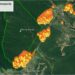 COMBATIRÁN EL FRENTE DIRECTO DEL INCENDIO EN EL PARQUE NACIONAL CALILEGUA