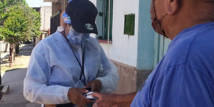 REPORTE DIARIO COVID- 19