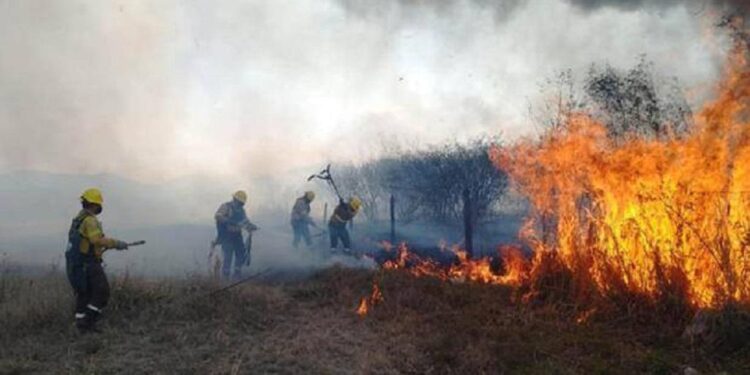USARÁN NUEVA TECNOLOGÍA PARA COMBATIR INCENDIOS