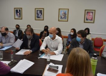 EL MINISTRO MEYER PRESENTÓ EN DIPUTADOS PROYECTOS PARA ERRADICAR LA VIOLENCIA DE GÉNERO Y LABORAL