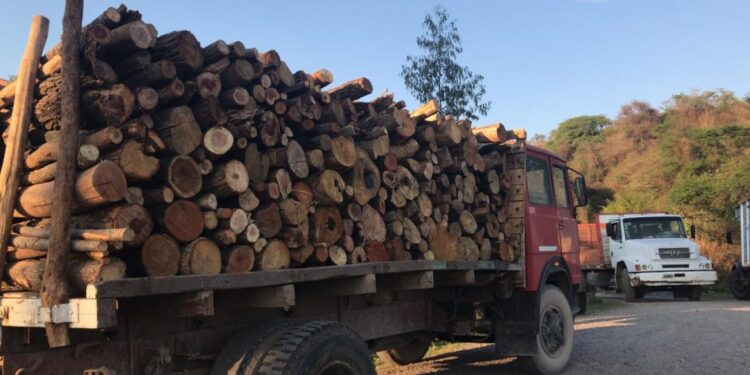 OPERATIVOS DE CONTROL Y FISCALIZACIÓN DE TRÁNSITO DE MADERA