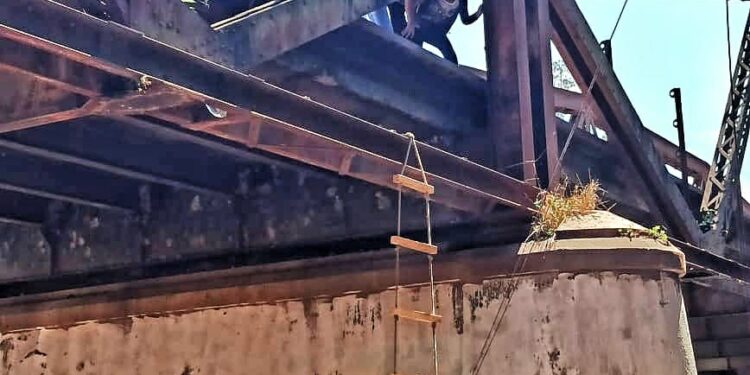 JORNADA DE DEPORTE ADAPTADO EN RODEITO