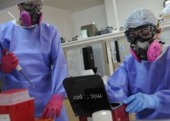 VACUNA EN ARGENTINA: EN LAPRIMERA ETAPA SE APLICARÁ A 12 MILLONES DE PERSONAS