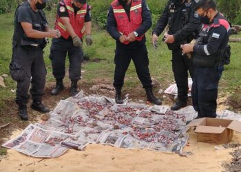 SECUESTRO Y DESTRUCCIÓN DE PIROTECNIA SONORA