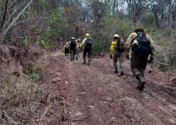 INCENDIOS FORESTALES: SE EXTINGUIERON TODOS LOS FOCOS, EN UNA DE LAS TEMPORADAS MÁS CRÍTICAS