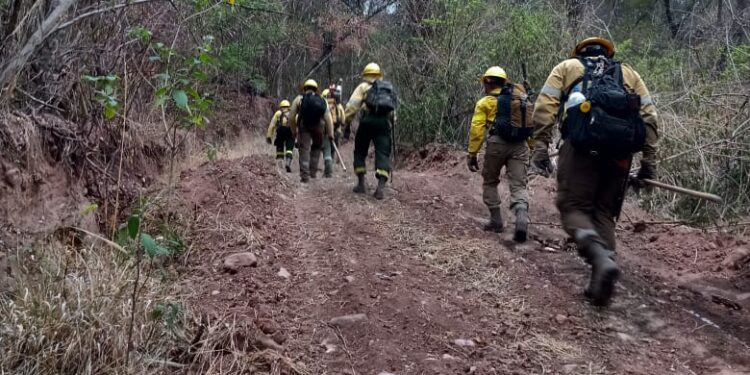INCENDIOS FORESTALES: SE EXTINGUIERON TODOS LOS FOCOS, EN UNA DE LAS TEMPORADAS MÁS CRÍTICAS