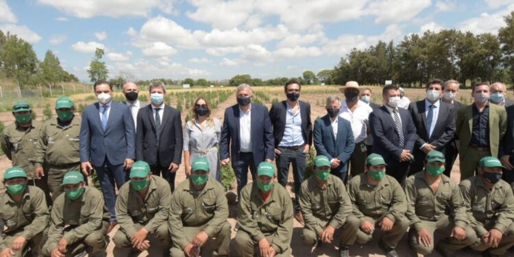 JUJUY ABRE CAMINO CON LA INAUGURACIÓN DEL PRIMER LABORATORIO DE CANNABIS MEDICINAL DEL PAÍS