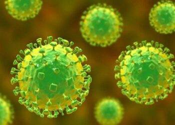 NIPAH: EL VIRUS CON POTENCIAL EPIDÉMICO QUE ALARMA A LOS CIENTÍFICOS