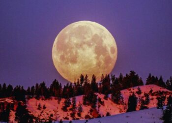 LUNA DE NIEVE Y LLUVIA DE ESTRELLAS: ¿CUÁNDO Y CÓMO VER LOS DOS FENÓMENOS?