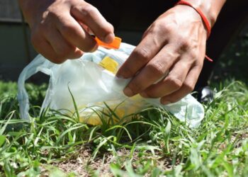 SE REALIZA ESTRICTA VIGILANCIA DE CUADROS FEBRILES POR EL DENGUE