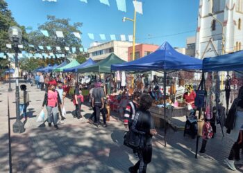 ECONOLOGÍA, IMAGINACIÓN Y EMPREDENDURISMO EN LA FERIA DE ARTESANOS DE SAN PEDRO