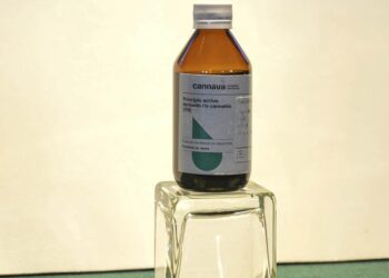 Cannava: en octubre el cannabis medicinal llegará a los hospitales de Jujuy