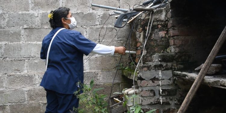 Jujuy se mantiene sin nuevos casos de dengue