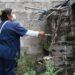 Jujuy se mantiene sin nuevos casos de dengue