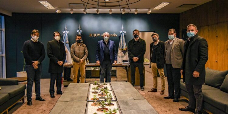 Jujuy gestiona más vuelos