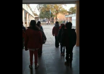 «Estamos felices de poder venir a la escuela»
