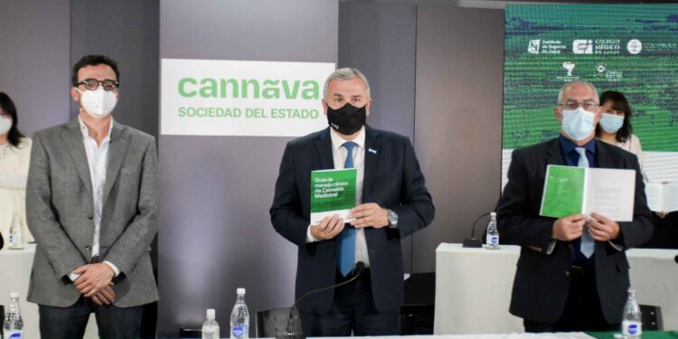 Jujuy presentó la primera guía de manejo clínico de cannabis medicinal del País