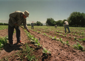 El RENATRE lanza un plan de vacunación contra el COVID-19 para los trabajadores rurales y empleados en Jujuy