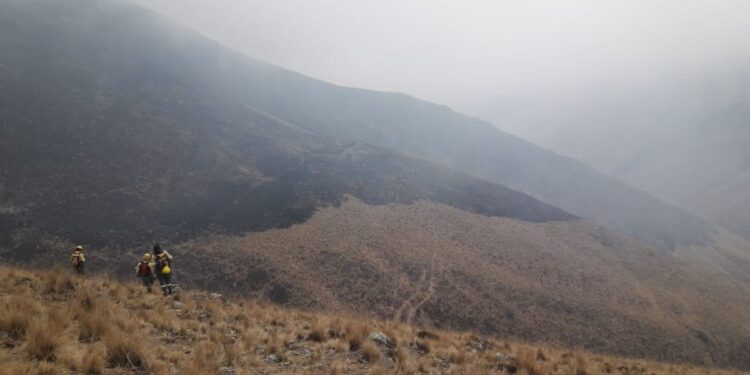 Brigadistas combaten incendios en diferentes localidades de la provincia de Jujuy