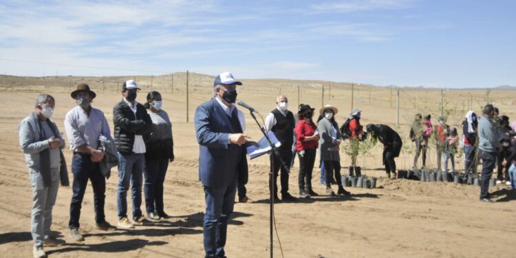 Morales entregó lotes con todos los servicios a 100 familias Jujeñas