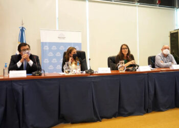 Gómez Alcorta y Moroni expusieron en Diputados sobre el proyecto de Comité Mixto de Trabajo