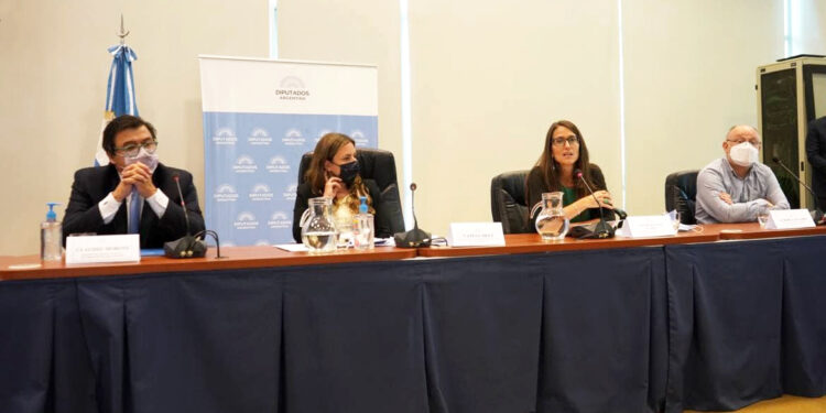 Gómez Alcorta y Moroni expusieron en Diputados sobre el proyecto de Comité Mixto de Trabajo