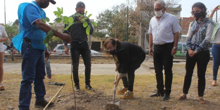 Escuelas de San Pedro plantarán 714 ejemplares de árboles nativos