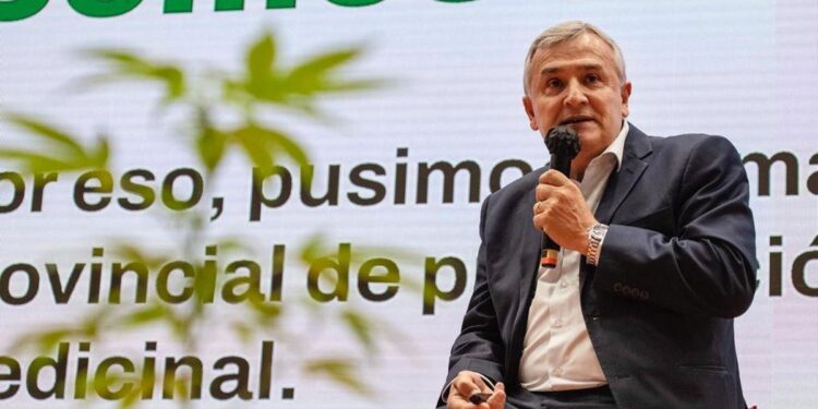 Morales logró respaldo de expertos internacionales al proyecto jujeño de cannabis medicinal