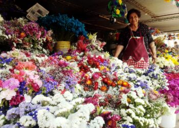 «Los esperamos con todo el amor y todo el corazón para que puedan agasajar a sus fieles»