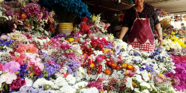 «Los esperamos con todo el amor y todo el corazón para que puedan agasajar a sus fieles»