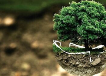 En qué lugar de la Argentina se producirá hidrógeno verde, la fuente de energía más pura del mundo