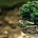 En qué lugar de la Argentina se producirá hidrógeno verde, la fuente de energía más pura del mundo
