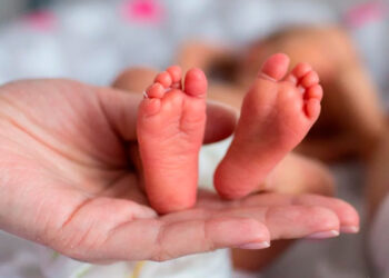 Semana de la Prematurez: «Cuidar para prevenir»