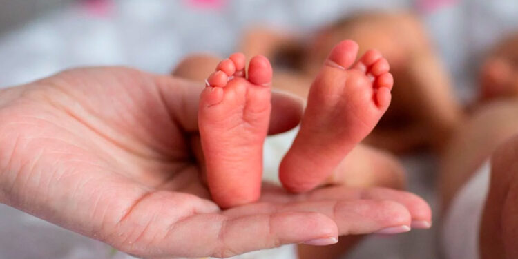 Semana de la Prematurez: «Cuidar para prevenir»