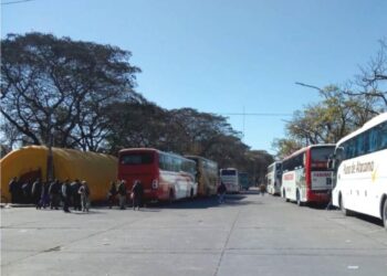 ¿Tenés que viajar para votar? Te contamos donde podes acceder al transporte gratuito