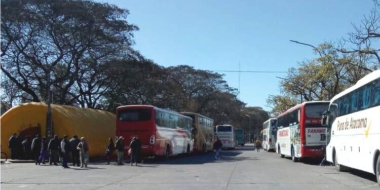 ¿Tenés que viajar para votar? Te contamos donde podes acceder al transporte gratuito