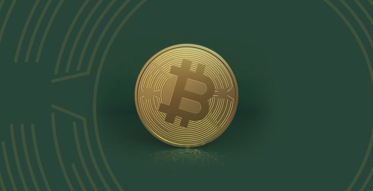 La RAE incorporó «bitcoin», «poliamor» y «bot», al diccionario