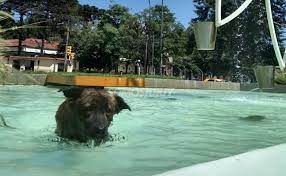 El calor no da tregua en Jujuy