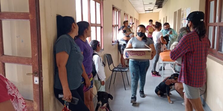 Se concretó la 3era Campaña de Castración gratuita en Aguas Calientes