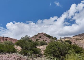 Turismo Rural: Tilcara inauguró un nuevo circuito en Juella
