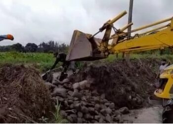 En Monterrico se trabaja en desborde de canal de desagüe