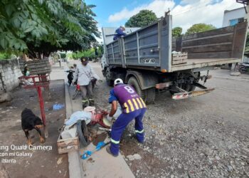 En Fraile Pintado se mantienen alertas con el mosquito del Dengue